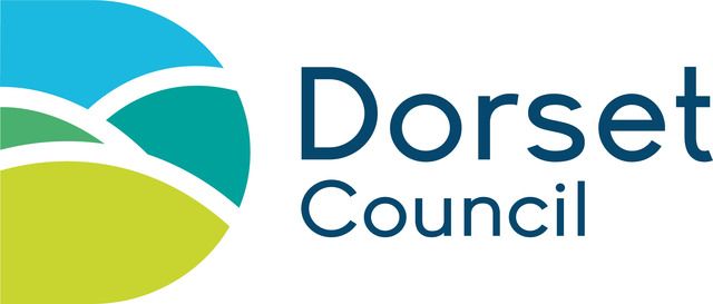 Dorset council.jpg