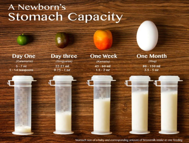StomachCapacity newborn_BF page.png